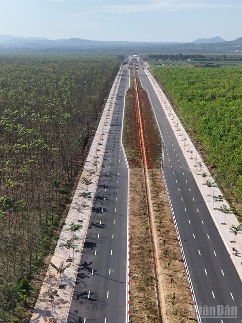 Đường Vành đai 1 Long Khánh xuyên qua rừng cao-su.