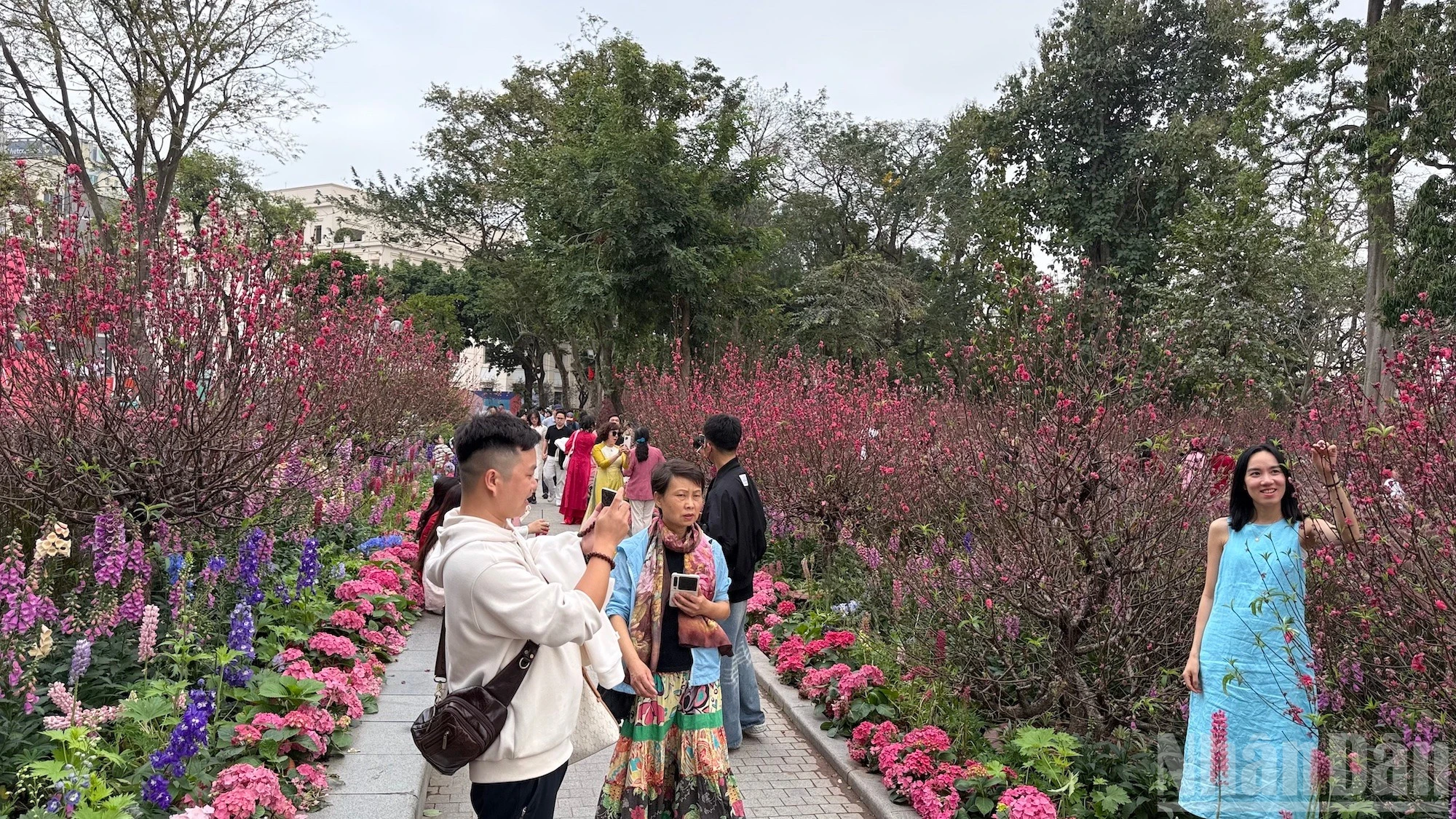 Hồ Hoàn Kiếm ngập tràn sắc xuân, du khách nườm nượp check-in dịp Tết