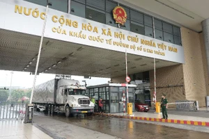 Hàng hóa xuất, nhập khẩu qua Cửa khẩu quốc tế đường bộ số II Kim Thành, tỉnh Lào Cai.