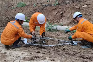 Cán bộ Điện lực Nghĩa Lộ khẩn trương khắc phục sự cố đường dây 376E29.2. (Ảnh: Điện lực Nghĩa Lộ)