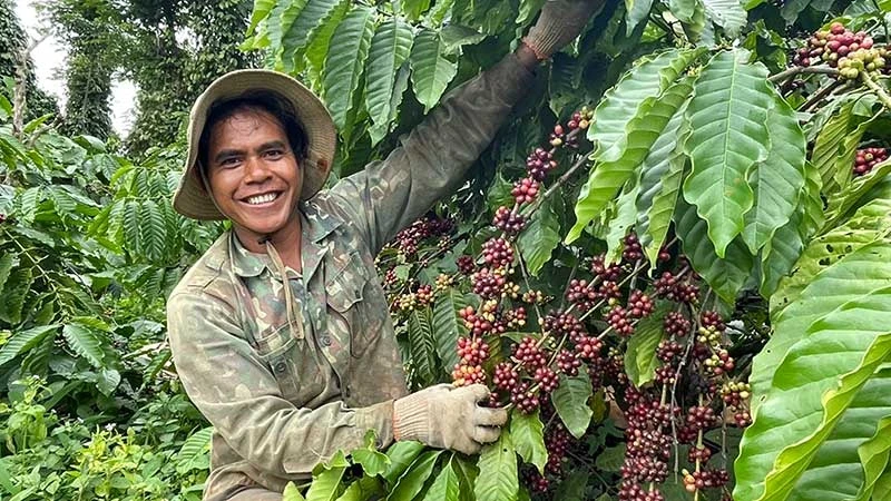 Kinh tế tư nhân đang trở thành một động lực quan trọng trong việc thúc đẩy phát triển kinh tế tại các vùng sâu, vùng xa của Việt Nam, nơi điều kiện kinh tế-xã hội còn nhiều khó khăn.