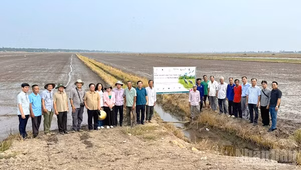 Mô hình lúa sinh thái trong vùng đệm Vườn quốc gia Tràm Chim (tỉnh Đồng Tháp), một thí dụ của bảo đảm an ninh sinh thái trong môi trường sản xuất nông nghiệp vùng Đồng bằng sông Cửu Long.