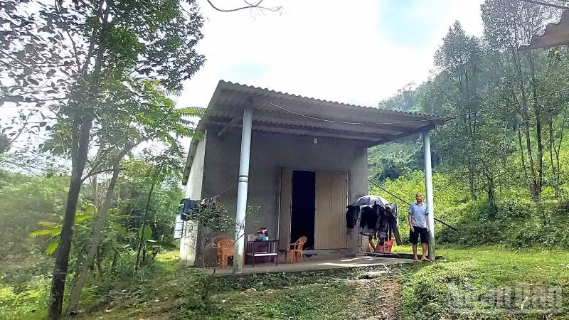 Một nhà dân ở thôn Rục, Tiến Hóa, xã Hồng Hóa cũ, nay là xã Minh Hóa, tỉnh Quảng Trị có nguy cơ bị sạt lở khi quả đồi phía sau xuất hiện vết nứt.