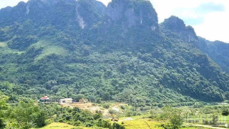 ndo_br_ban-cay-su.jpg