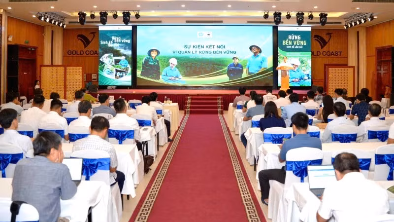 “Sự kiện kết nối vì quản lý rừng bền vững” được tổ chức tại phường Đồng Hới, tỉnh Quảng Trị.