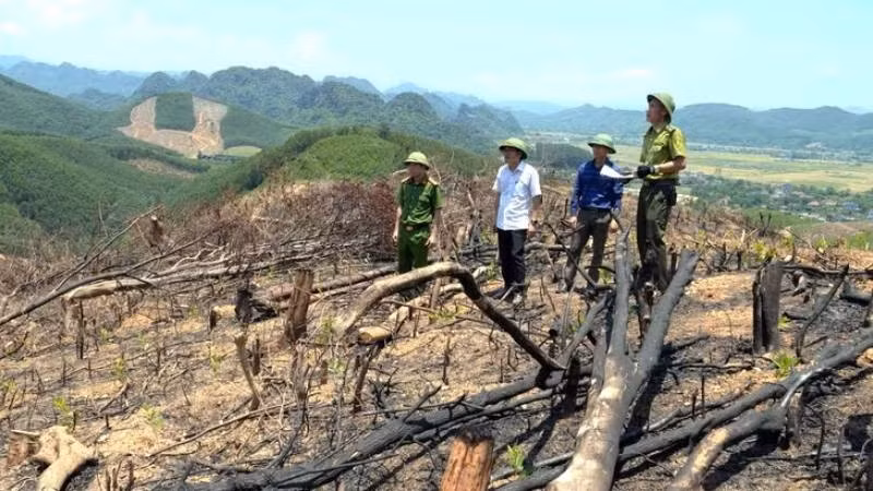 Lực lượng chức năng tỉnh Quảng Trị kiểm tra hiện trạng phá rừng tại xã Bố Trạch mà nguyên nhân chính là do sự “lệch pha” giữa hồ sơ pháp lý và hiện trạng tài nguyên rừng. (Ảnh: TC)