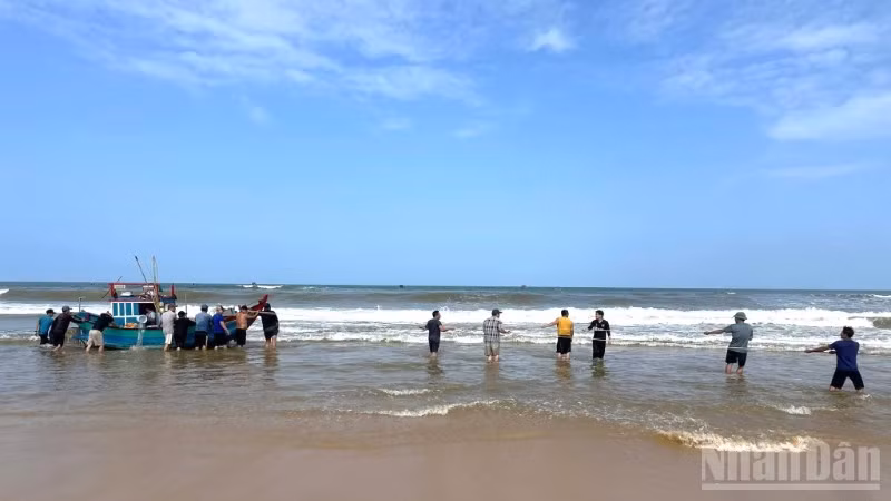 ndo_br_1000024317-1291.jpg