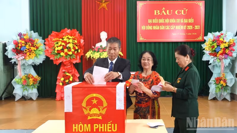 Cử tri Tổ dân phố 1 Đồng Phú, phường Đồng Hới, tỉnh Quảng Trị bỏ phiếu bầu cử.