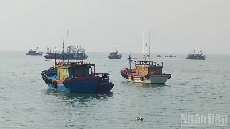 Dự án xây dựng khu neo đậu tàu thuyền cho ngư dân tạo điều kiện để sắp xếp lại vị trí neo đậu tàu thuyền phục vụ các dự án kinh tế lớn ở Khu Kinh tế Hòn La (Trong ảnh: Tàu thuyền neo đậu trên vịnh Hòn La).