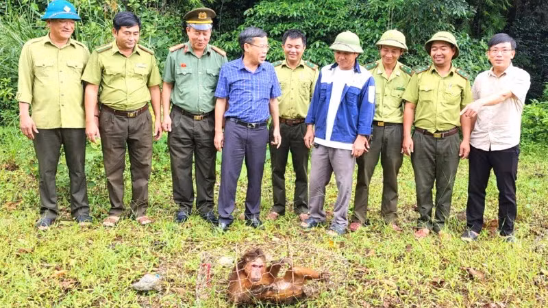 Lực lượng chức năng xã Trường Sơn tiếp nhận cá thể khỉ mặt đỏ do người dân giao nộp.