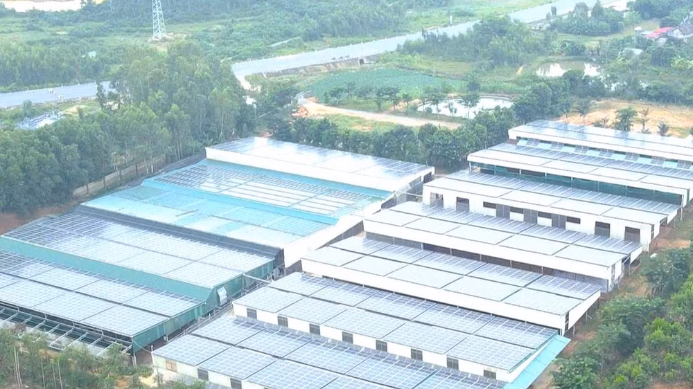 Một trang trại sản xuất sử dụng điện mặt trời ở phía bắc tỉnh Quảng Trị. (Ảnh: HG)