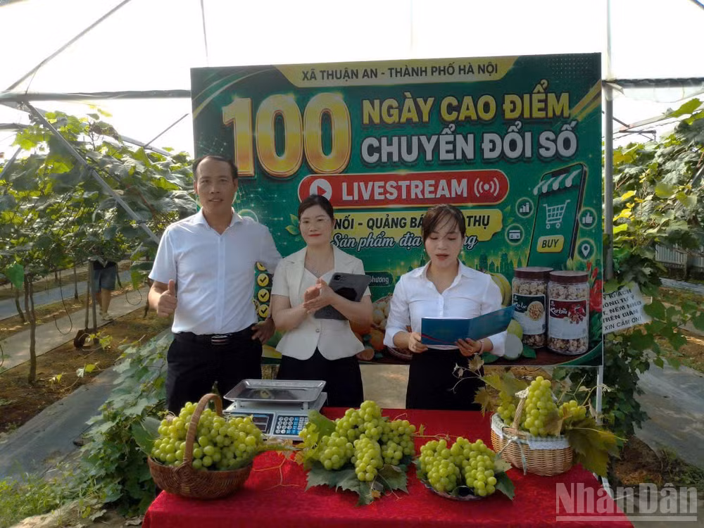 ndo_br_2a-ha-noi1787802728880-2144425532258970042-5403002401184974723-0b85117a867da274780a0ed60f305fa5.jpg