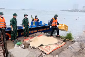 Lực lượng chức năng tìm thấy nạn nhân Hoàng Việt Hùng, sinh năm 1979 trong vụ lật tàu du lịch trên Vịnh Hạ Long.