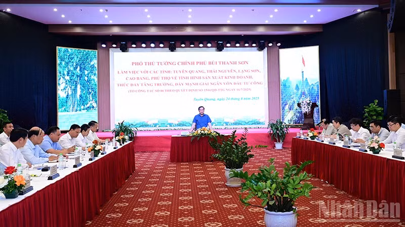 Phó Thủ tướng Bùi Thanh Sơn chủ trì buổi làm việc.