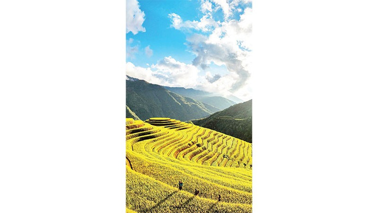 Os campos em socalcos se estendem pela encosta da montanha, criando uma imagem majestosa com  untitled-9.jpg