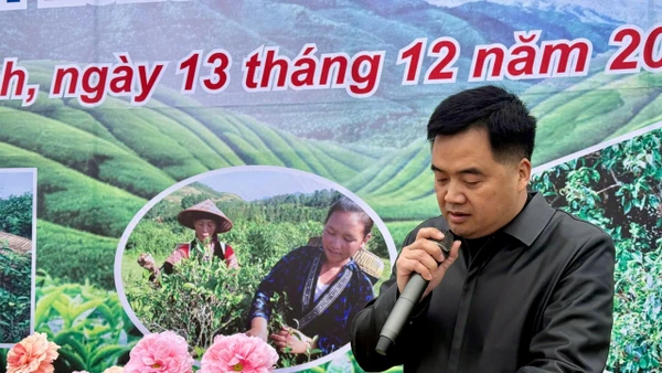 Đồng chí Vũ Đức Biểu, Chủ tịch UBND xã Sính Phình kêu gọi người dân trên địa bàn tích cực chăm sóc, bảo vệ tốt diện tích chè hiện có.