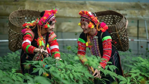 Ngày hội sản phẩm vùng đồng bào dân tộc thiểu số và miền núi phía bắc năm 2025 sẽ diễn ra từ ngày 14-16/11 tại tỉnh Lai Châu.