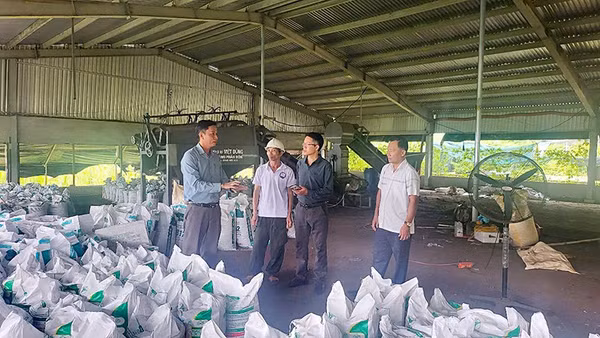 Kỹ sư nông nghiệp Phạm Ngọc Hồ chia sẻ về quy trình sản xuất phân bón hữu cơ.