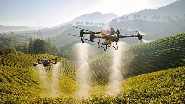 Drone được sử dụng hiệu quả trong nông nghiệp. Ảnh | Agridrone