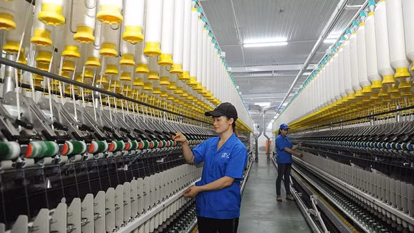 Công nhân Công ty TNHH một thành viên Dệt 8-3 vận hành dây chuyền sản xuất sợi.