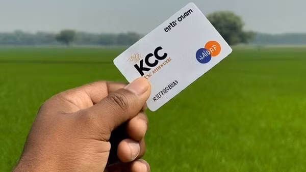 Thẻ tín dụng cho nông dân.