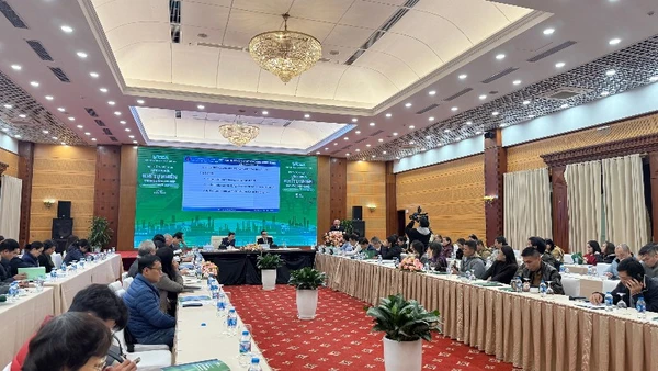 Toàn cảnh Hội thảo.