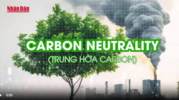 [Video] Khái niệm Trung hòa Carbon và Net Zero: Sự khác biệt và mối liên hệ