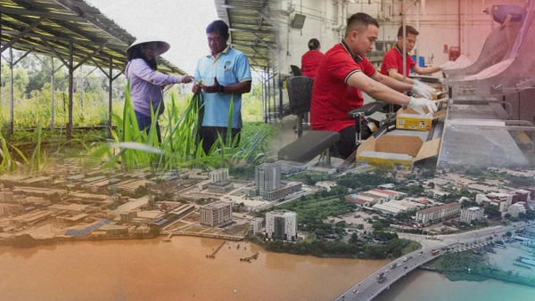 Kinh tế tuần hoàn, từ hạt mầm ý tưởng đến trái ngọt phát triển bền vững