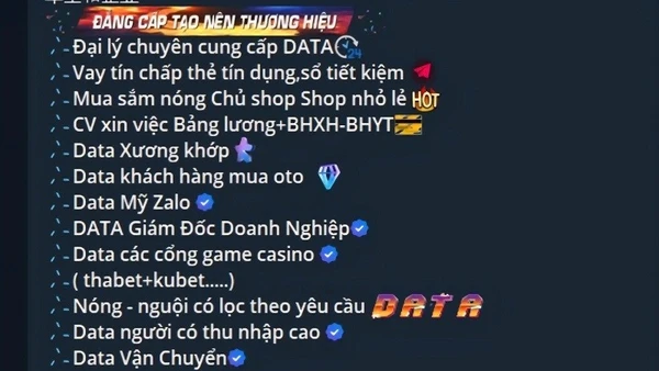 Một trang web rao bán dữ liệu. (Ảnh chụp màn hình)
