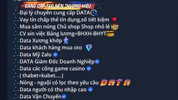 Một trang web rao bán dữ liệu. (Ảnh chụp màn hình)