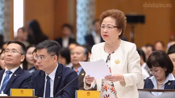 Bà Nguyễn Thị Nga, Quyền Chủ tịch Hội Doanh nhân Tư nhân Việt Nam, Chủ tịch Tập đoàn BRG.