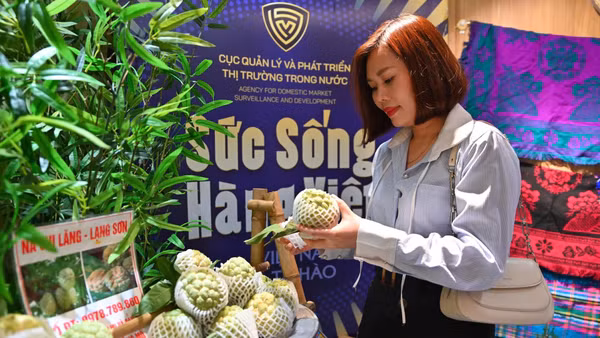 Người tiêu dùng chọn mua sản phẩm na Chi Lăng (Lạng Sơn) tại chương trình "Sức sống hàng Việt" do Cục Quản lý và Phát triển thị trường trong nước tổ chức tại Hà Nội. (ẢNH: QUYÊN LƯU)