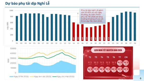 Dự báo tiêu thụ điện dịp Tết Nguyên đán. 