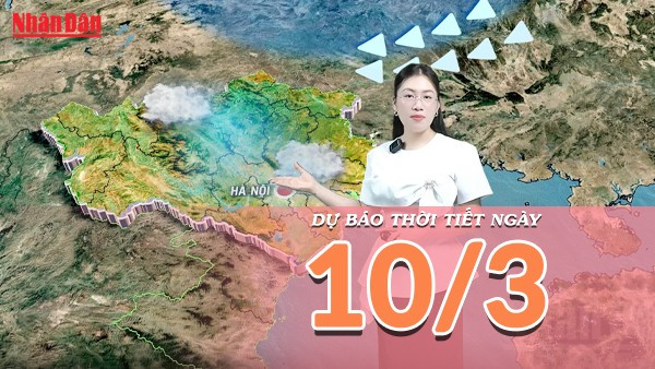 [Video] Dự báo thời tiết ngày 10/3/2026: Cảnh báo mưa to tại Trung Bộ và biển động mạnh