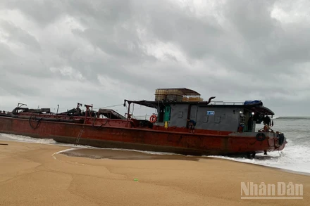 Tàu hàng số hiệu HY 0459 bị mắc cạn tại khu vực bờ biển phường Đức Phổ, tỉnh Quảng Ngãi. 