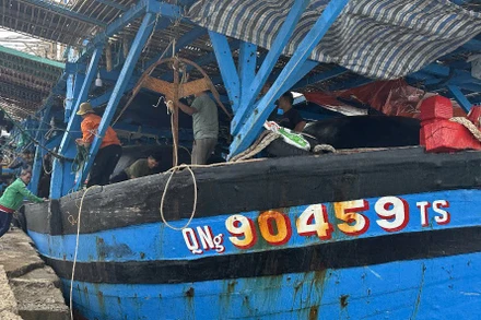 Tàu cá QNg 90459 TS cùng 36 ngư dân Quảng Ngãi bị nạn trên biển được tàu HQ 950 lai dắt vào cảng Ba Ngòi (Khánh Hòa) an toàn. 
