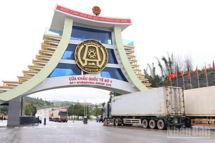 Tỉnh Quảng Ngãi yêu cầu phòng, chống dịch bệnh do virus Nipah ngay từ cửa khẩu.