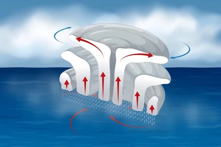 [Video] Giải mã sức mạnh của bão: Từ đại dương đến đất liền