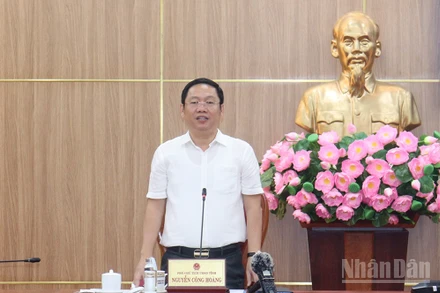 Phó Chủ tịch Ủy ban nhân dân tỉnh Quảng Ngãi Nguyễn Công Hoàng phát biểu chỉ đạo tại cuộc họp.