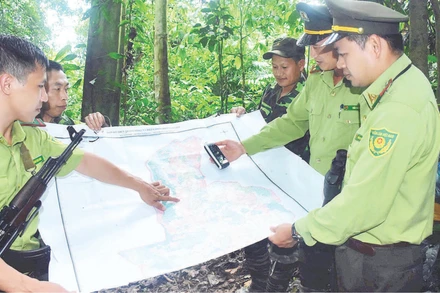 Cán bộ Hạt Kiểm lâm khu vực V, Chi cục Kiểm lâm tỉnh Tuyên Quang ứng dụng công nghệ xác định tọa độ, phục vụ công tác tuần tra, bảo vệ rừng.