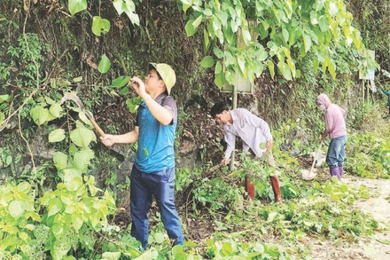 Cán bộ xã Ba Bể cùng nhân dân ra quân tổng vệ sinh môi trường chung quanh hồ Ba Bể.