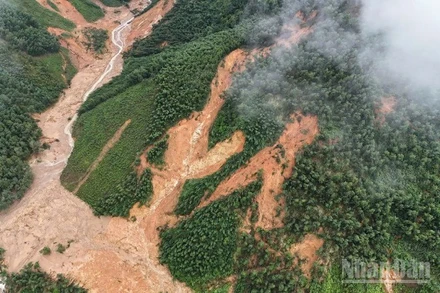 Khu vực gần nhà máy nước ở xã Long Quảng đang bị sạt lở.