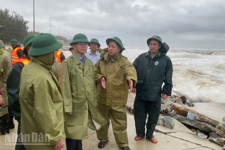 Bí thư Thành ủy Nguyễn Đình Trung thị sát điểm sạt lở bờ biển ở phường Thuận An, Huế chiều 22/10.