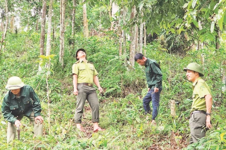 Cán bộ kiểm lâm Vườn quốc gia Xuân Liên và đội bảo vệ rừng thôn Thác Làng trong một chuyến tuần tra.