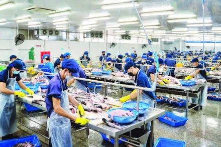 Công nhân chế biến thủy sản ở Khu công nghiệp Trà Nóc.