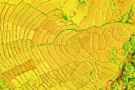 Phía tây miền núi tỉnh Quảng Ngãi sở hữu nhiều cảnh quan thiên nhiên phù hợp du lịch trải nghiệm.