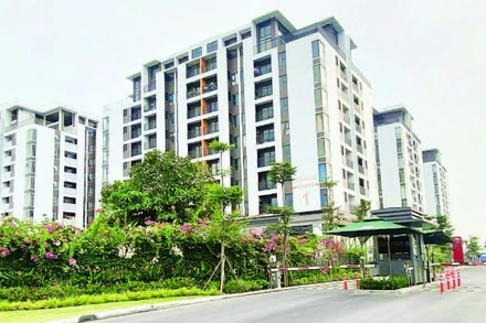 Một dự án nhà ở xã hội ở Quận 7 (cũ) vừa hoàn thành và đưa vào sử dụng.