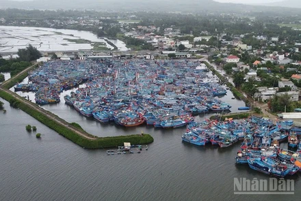 Tàu cá của ngư dân neo trú tại cảng cá Tịnh Hòa (Quảng Ngãi).