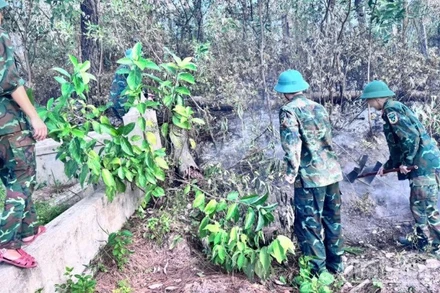 Quân đội, Công an và dân quân đã kịp thời khống chế đám cháy.