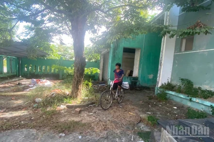 Do không sớm triển khai phương án bảo vệ, khu nhà trụ sở được giao cho Viện quy hoạch xây dựng đã bị kẻ gian phá hoại, lấy cắp nhiều tài sản.